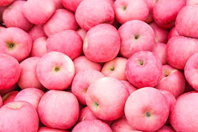 2025年库存红富士苹果价格走势，优质果与普通果表现差异显著。