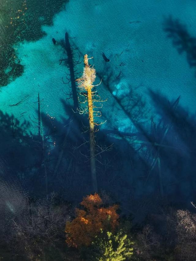 碧水吻醒秋色，落叶撞进九寨沟的调色盘