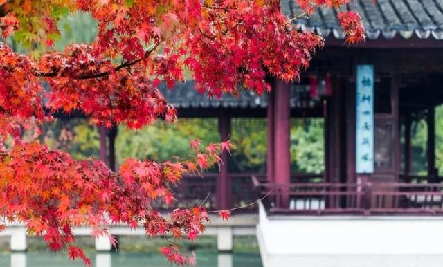 来虎丘山，这里有你更好看！