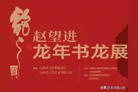 “龙之韵”赵望进龙年书龙展在太原举行图片