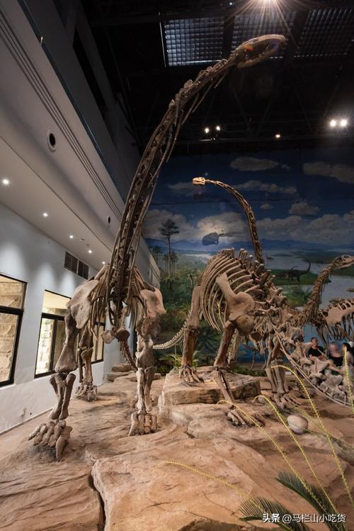 四川自贡旅游打卡攻略 | 千年盐都的魅力之旅