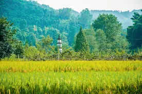 为什么“川西”是且只能是指成都一带？图片