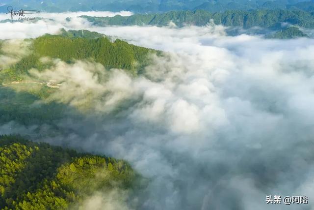 太子尖终于着火了,从前几年变得臭哄哄开始,一切都是必然