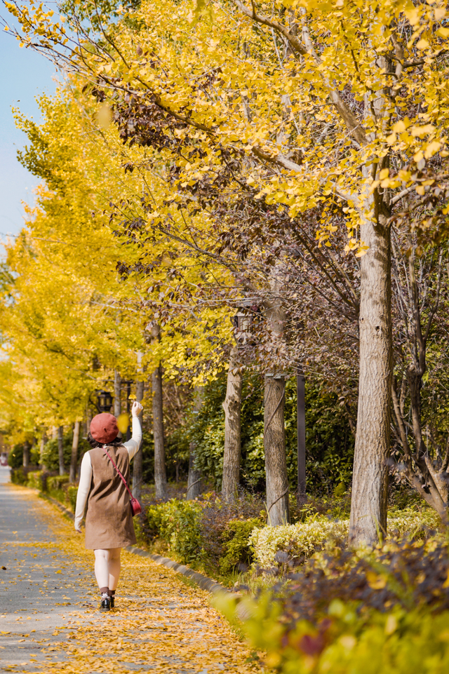 立冬！来黄陂再和秋天撞个满怀！