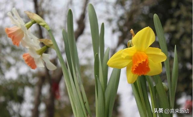 男人触摸女人这里,比亲吻、拥抱都上头,你知道吗?