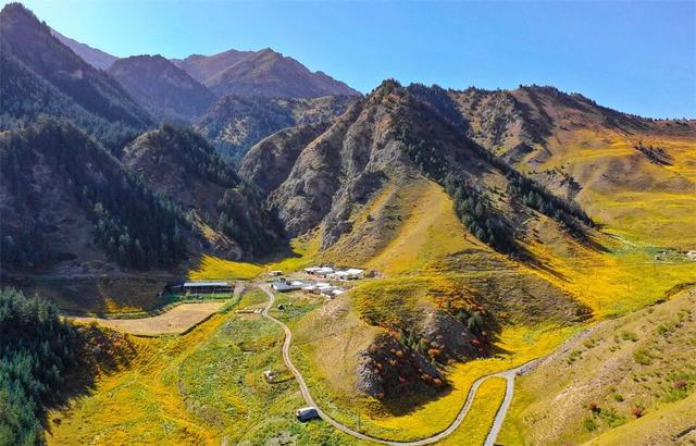 张掖：秋日祁连山风景如画 雪山金草绘就壮美诗篇