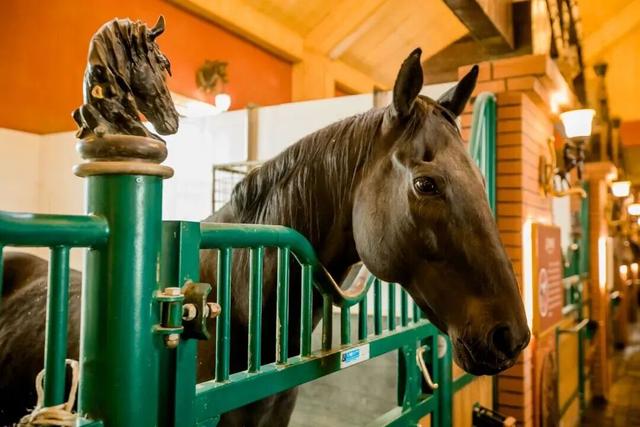 刚刚，呼和浩特官宣！33天后的10处点位！所有呼市人都在等