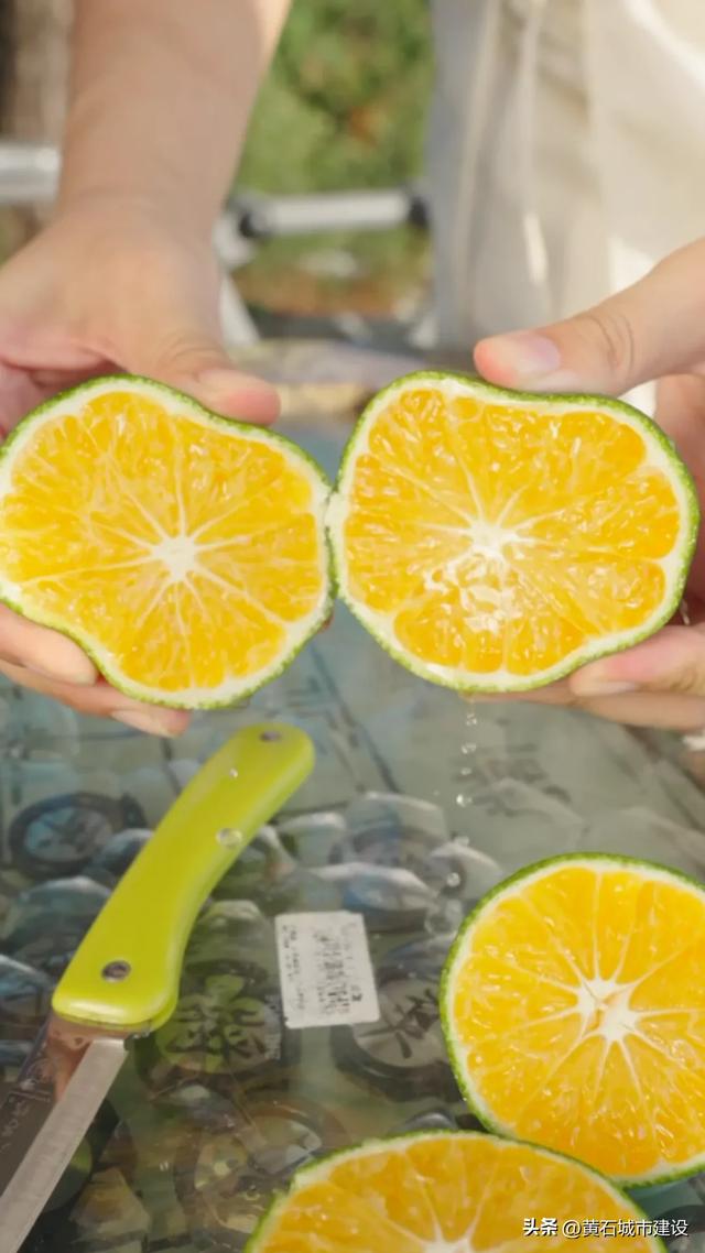 登山揽胜、环湖骑行、品尝螃蟹 前方到站！大美黄石后花园