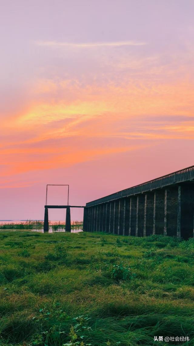 每日一景|石臼湖溧水张许村栈桥赏 “橘子海” 夕阳，水天交融