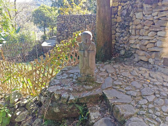 郁郁银杏无非般若，青青溪石尽是法身：宜春南惹古村印象（聂朋