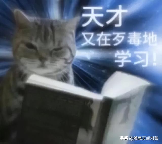 最新！国内雅思总分8.5-9分的考生到底有多少？说出来你可能不信.