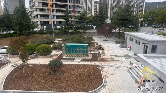 天水：古树新芽共绘绿色长卷