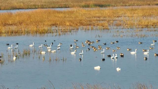 被渭南“暖”到了……