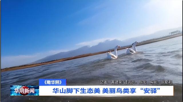 2025年12月5日 渭南文化旅游资讯微报（组图）