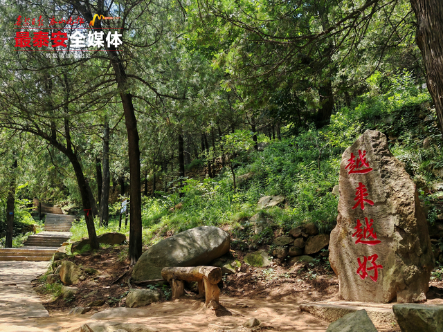 青绿泰山 清凉一夏丨夏日寻幽泰山玉泉寺，山水林间觅清凉