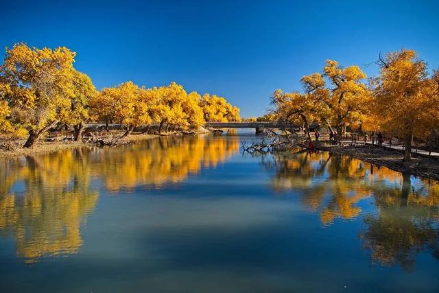 秋天的色彩，染在树上，也映在了水里