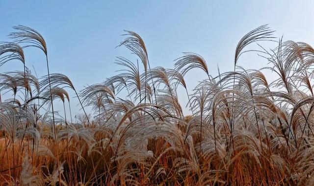 冬日微湖，慢养身心