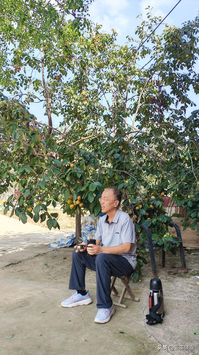 假期里逛蒲城文庙和户县文庙，看看两地有啥不同