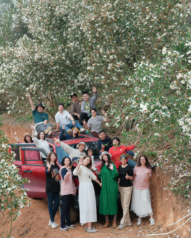 格桑花、紫花风铃木、雪白油茶花……肇庆这里太美了！