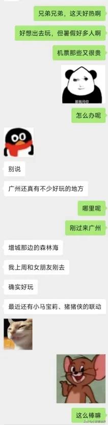 雨雨雨又晒？森林海晴雨皆可撒欢，暑假末烟花照常嗨