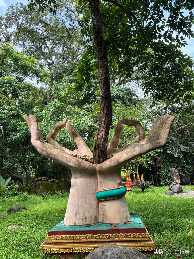 云南弥勒避暑旅游生活记录（三）瑞丽