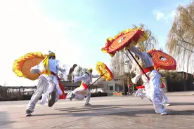 乡野趣事：母鸡捉鼠、公牛跳秧歌与猫咪骑车的乡村传奇图片