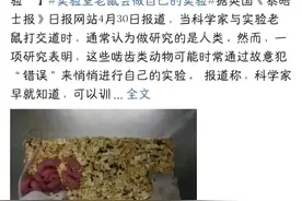 揭秘！实验室老鼠竟能“自主实验”，科学界震惊！图片