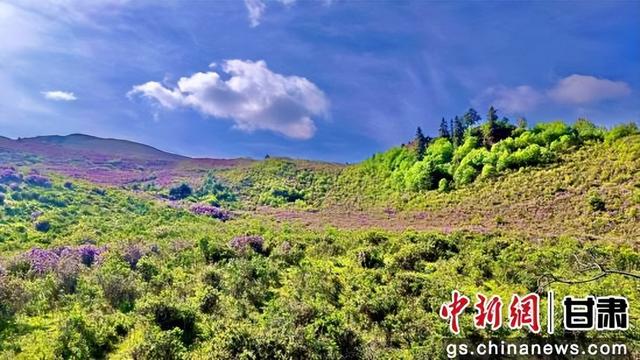 中新武威观丨毛藏初秋：斑斓山水间的温柔诗意