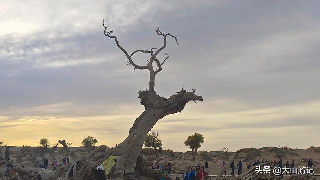 2025国庆西北自驾游（3）：黑城弱水胡杨风景区