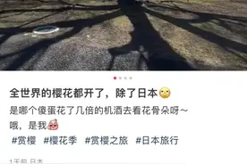 全世界的樱花都开了，除了日本？图片