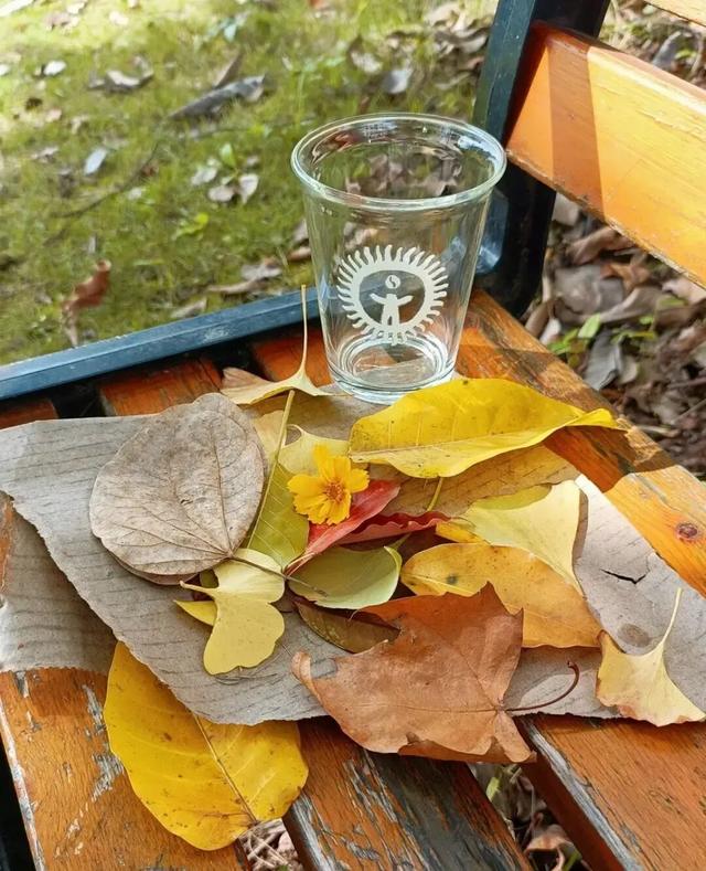 来淄博“捡秋”！海岱楼、周村大街…全被捡出来了→