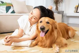 莫让宠物狗挤占城市人类的生存空间图片