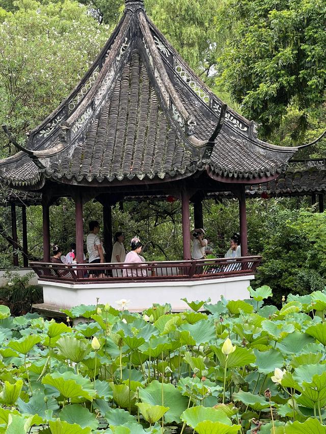 上海松江醉白池