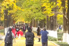 街头随处可见，紧急提醒：小心中毒！图片