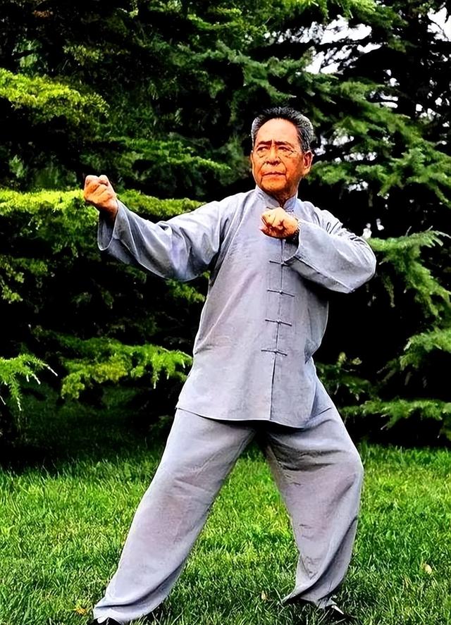 肋骨一开，千斤力来！高手为何推手像堵墙？秘密在“肋间弹簧”！