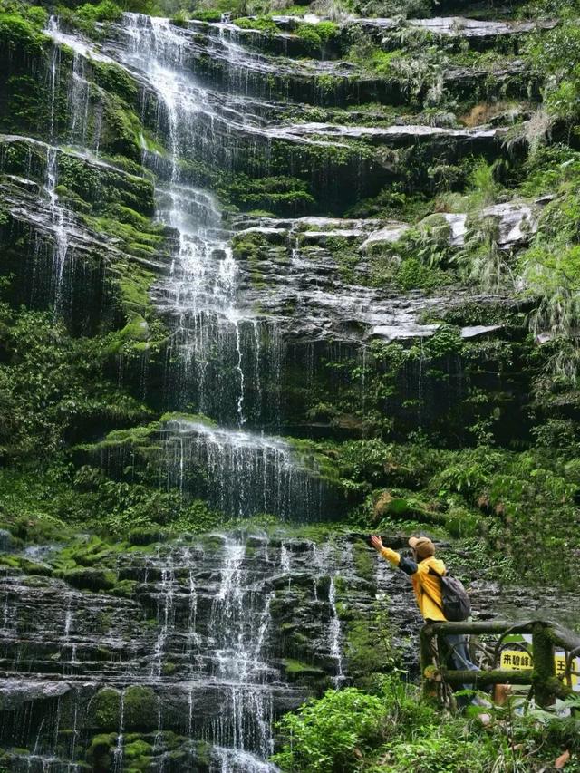 逃离高温！成都2H躲进峡谷避暑地，徒步森林瀑布、探秘野生动物！超萌奖牌周末就冲！
