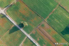 陕西全面完成集体土地所有权确权登记工作图片