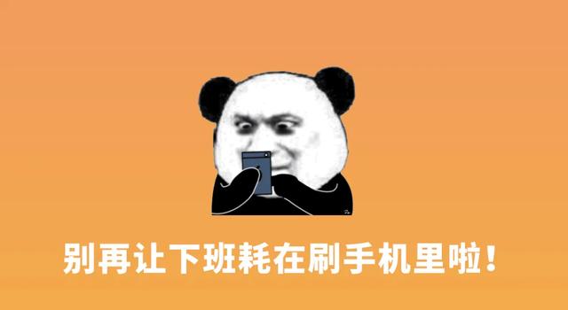 长春又一音乐节官宣！