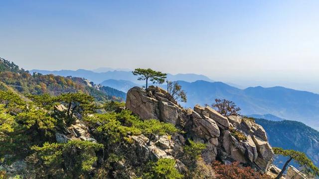 重磅官宣！2026元旦游蒙山，赠送蒙山年卡！全年享无限畅游~