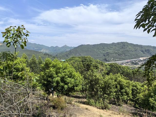 带小朋友去贵州茂兰，连环探洞加漏斗原始森林徒步二日游全攻略！