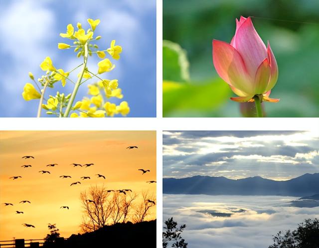 普洱，不止四季！🥰