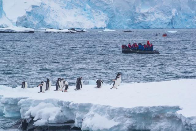 南极旅行官方指南 | 签证、行李、健康到环保守则，这一篇就够！