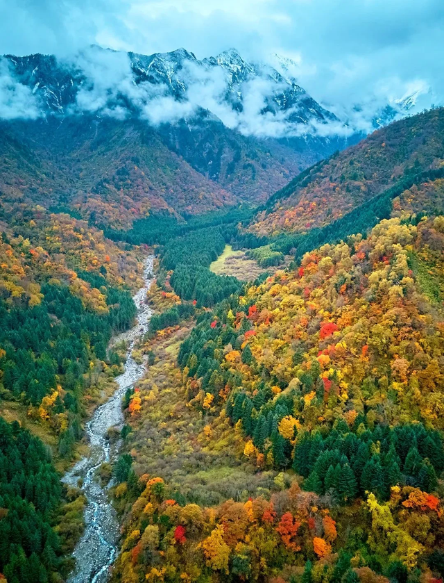 比光雾山好看，比米亚罗便宜！成都4h直达小众彩林0门票，红遍了