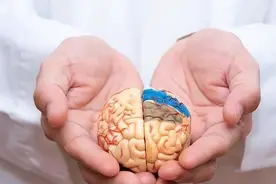 大脑开始萎缩，一般出现4个反应，多吃5种菜，辅助降低风险图片