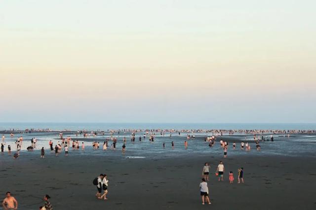 体荟四季｜冲浪、赶海、骑行...江浙沪这些 “动感海岸线”激活你的整个夏天
