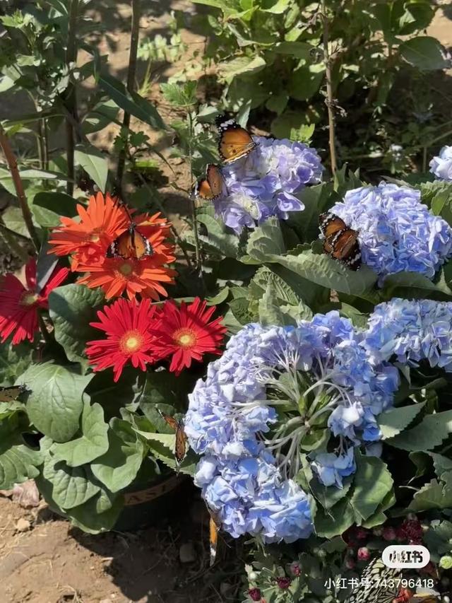 临沂，你真的好风光！！