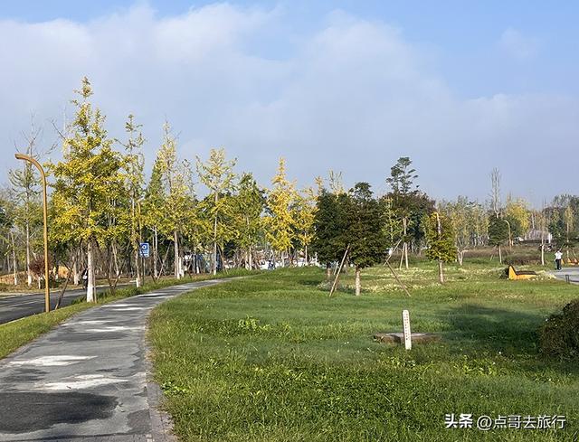 成都被冷落的彩林公园，惊艳无比，不要门票，地铁公交车直达！