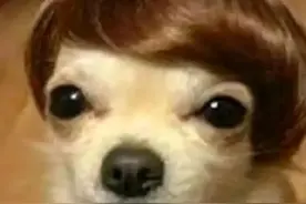 表情包 | 干活好辛苦！图片