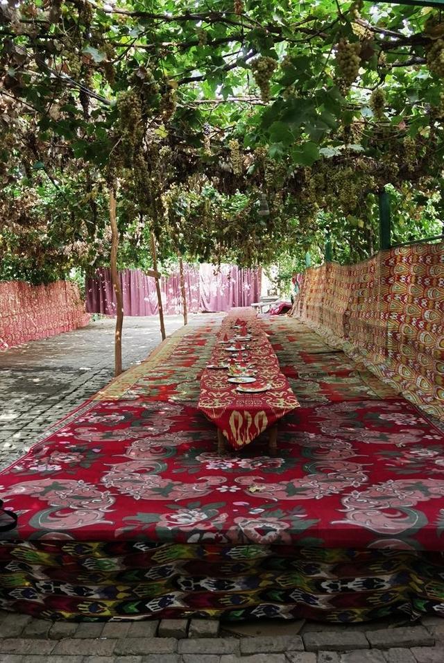 游新疆吐鲁番的坎儿井和葡萄沟