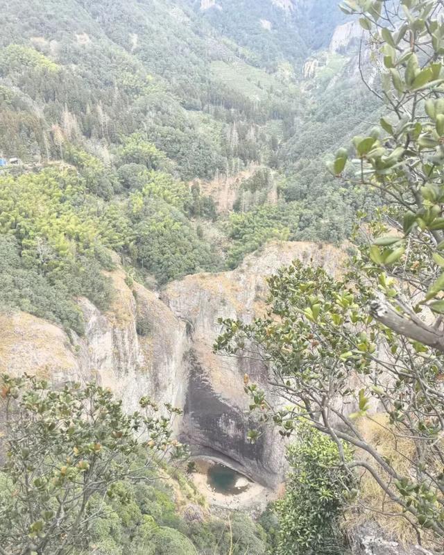 突然火了！浙江一景区惊现奇观